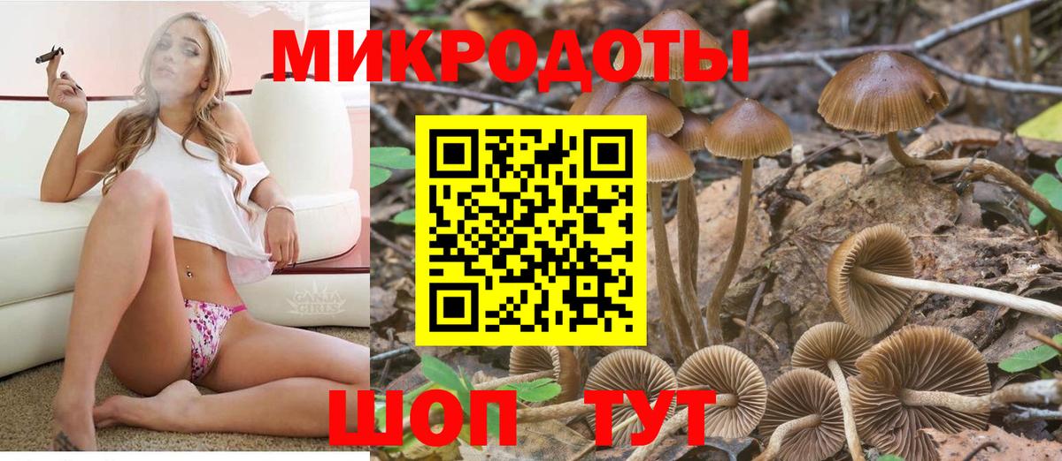 Псилоцибиновые грибы Psilocybine cubensis Электрогорск