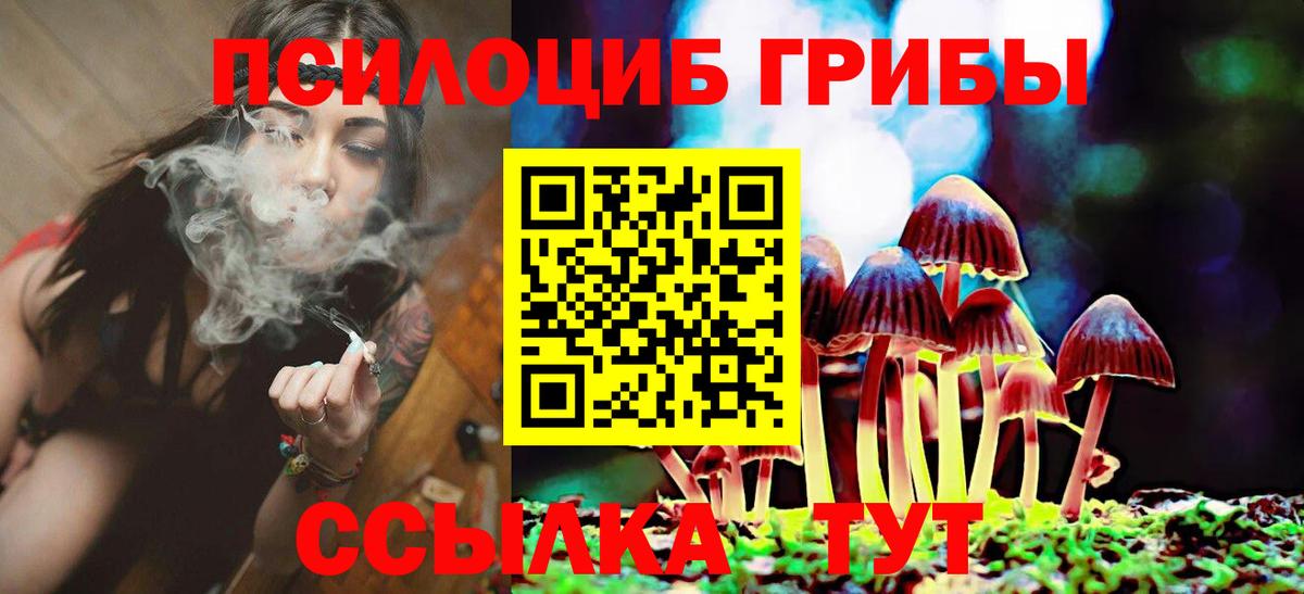 Галлюциногенные грибы Psilocybe  Псилоцибиновые грибы мицелий  хочу   Вход с VPN  Электрогорск 