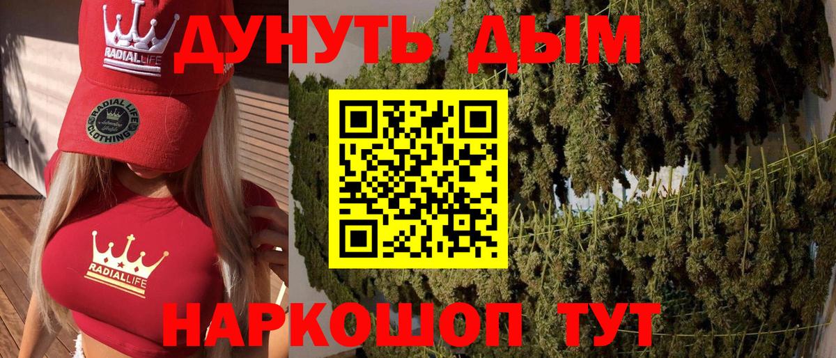 Марихуана VHQ  Вход с VPN  Электрогорск  Конопля марихуана  Канабис планчик  Шишки марихуана White Widow 